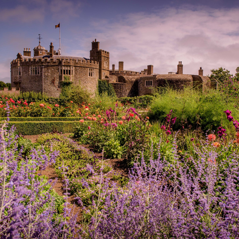 The flower beds filled with pink, purple and orange flowers, with view of Walmer Castle in the background.