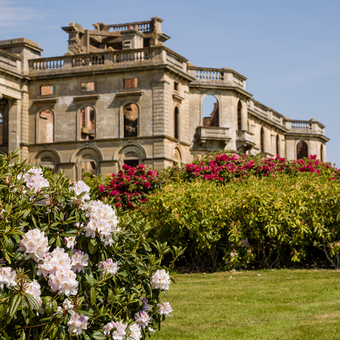 Pink and white flowers blooming in the foreground with Witley Court in the background.
